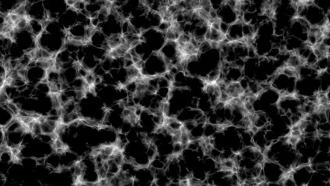 Dangerous disease infecting the tissue Stock Footage 300649104