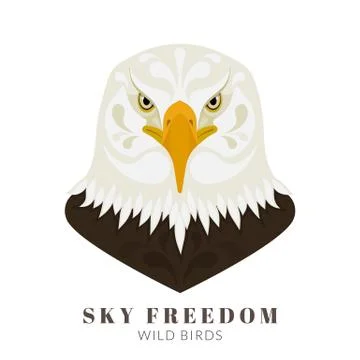 Dangerous eagle Illustrazione stock