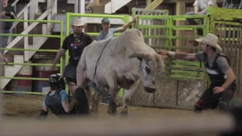 Dangerous fall from a bull Stock Footage 156111568
