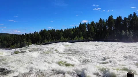 Dangerous fast flowing rapids in river Stock Footage 245836698