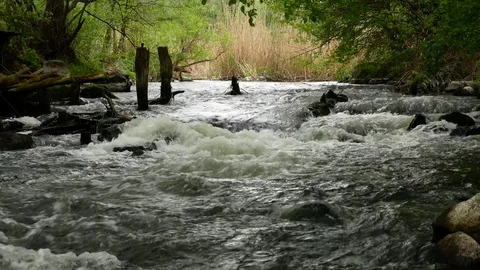 Dangerous fast stream river Stock Footage 81189610