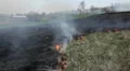 Dangerous Fire In Dry Agriculture Field in Drought Season, Hot Summer, No Rain HD Footage