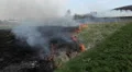 Dangerous Fire In Dry Agriculture Field in Drought Season, Hot Summer, No Rain HD Footage
