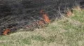 Dangerous Fire In Dry Agriculture Field in Drought Season, Hot Summer, No Rain HD Footage