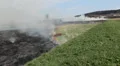 Dangerous Fire In Dry Agriculture Field in Drought Season, Hot Summer, No Rain HD Footage