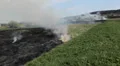 Dangerous Fire In Dry Agriculture Field in Drought Season, Hot Summer, No Rain HD Footage
