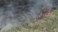 Dangerous Fire In Dry Agriculture Field in Drought Season, Hot Summer, No Rain HD Footage