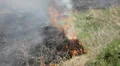 Dangerous Fire In Dry Agriculture Field in Drought Season, Hot Summer, No Rain HD Footage