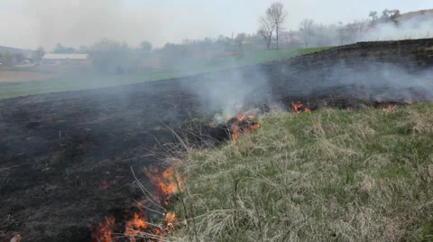 Dangerous Fire In Dry Agriculture Field, Climate Disaster, Hot Summer, No Rain Stock Footage