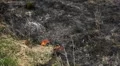 Dangerous Fire In Dry Agriculture Field in Drought Season, Hot Summer, No Rain HD Footage