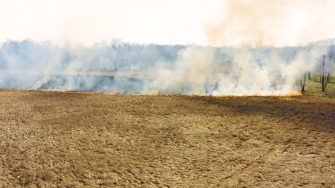 Dangerous fire on fields. Burning grass aerial footage Stock Footage 106107213