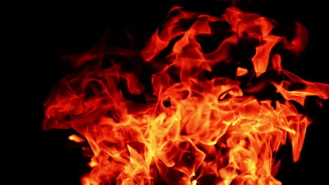 Dangerous fire with hot flames going up.  Stock Footage 268336603