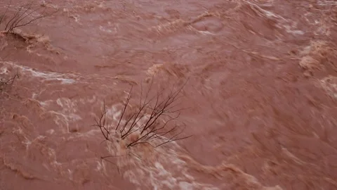 Dangerous flows of wild water  Stock Footage 143623204