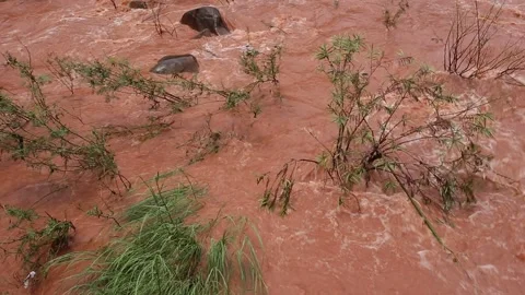 Dangerous flows of wild water  Stock Footage 143623454