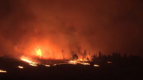 A dangerous forest fire at night Stock Footage 94220114