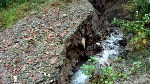 Dangerous landslide area in deep forest in the mountains. There's a creek flowin Stock Footage 133652422