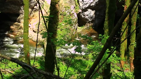 Dangerous nature with wild forests and rocks Stock Footage 267231933