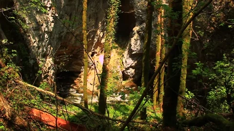 Dangerous nature with wild forests and rocks Stock Footage 267231968