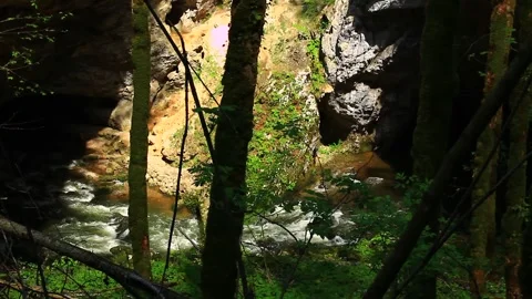 Dangerous nature with wild forests and rocks Stock Footage 267231969