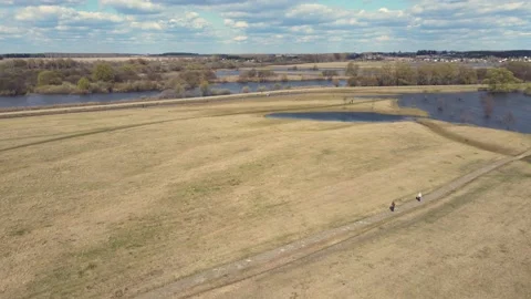 Dangerous river flood, spring flood and flooded fields, aerial view. Stock Footage 225416133