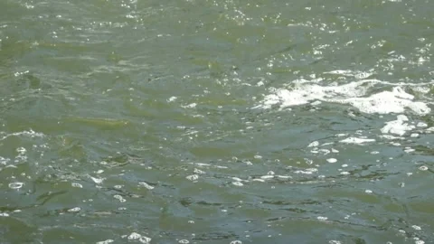 Dangerous river whirlpool Video stock 280683897
