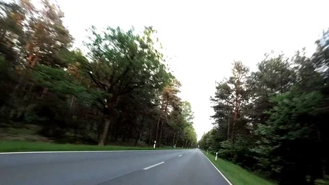 Dangerous Road Through A Forest - POV - Time Lapse Video stock 84577046