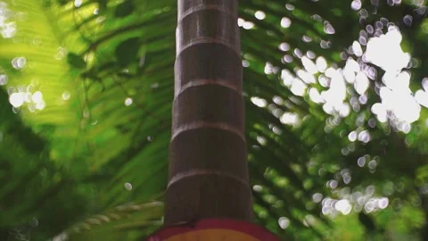 Dangerous signs Stock Footage 130449175