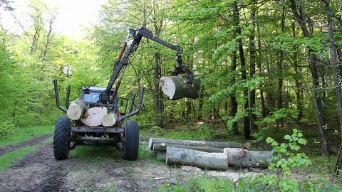 Dangerous situation when loading wood in the forest Stock Footage 69945761