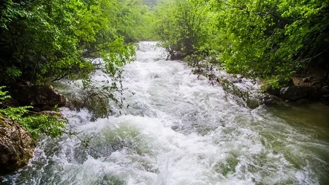 A dangerous stormy river in the forest Stock-Footage 79979803