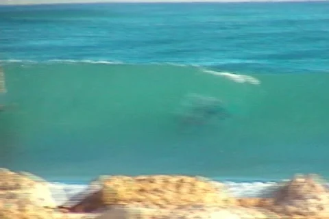 Dangerous Surfing Stock Footage 312019