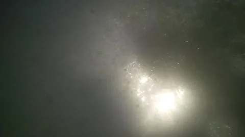 Dangerous swim in dirty Amazon water. Man saving from crocodile attack, under Stock Footage 59085372