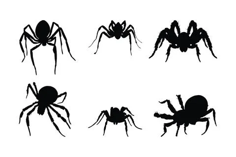 Dangerous tarantula spiders silhouette bundle. Wild insects sitting in diff.. Illustrazione stock