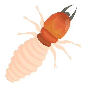 Dangerous termite insect crawling on white background Stock Illustration