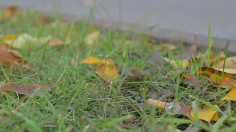 Dangerously and carelessly discarded cigarette lies, smokes Stock Footage 201364545