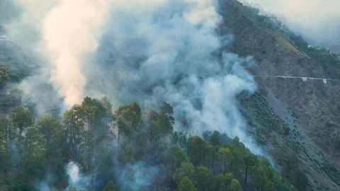 Dangerously thick smoke from raging forest fire on steep mountain. Stock Footage 337615185