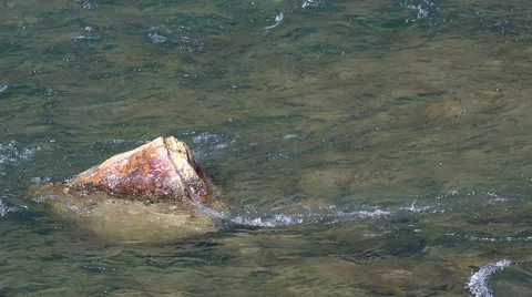 Dangers of River Flows Stock Footage 47841832