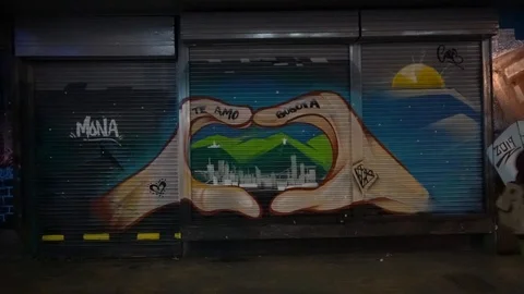 Daniel Garzón Herazo Stock Footage 105535366