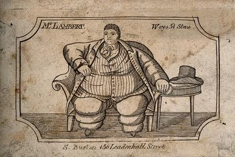 Daniel Lambert, weighing 51 stone. Etching. Stock Illustration