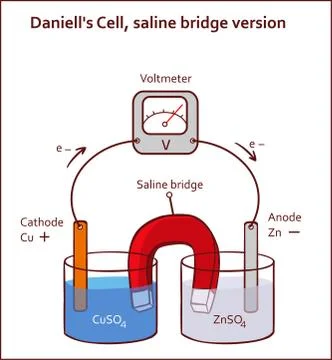 Daniell's Cell, saline bridge version vector illustration Illustration