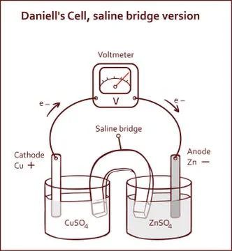 Daniell's Cell, saline bridge version vector illustration Stock Illustration