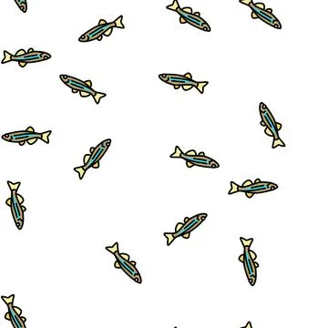 Danios fish vector seamless pattern Illustrazione stock