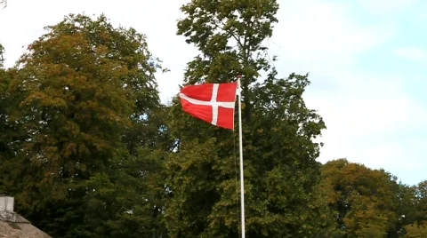 Danish Flag in a storm Stock Footage 517573
