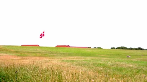 Danish Flag Waving Over Coastal Meadow with Red Farm Near Ribe, Denmark Stock Footage 333897207