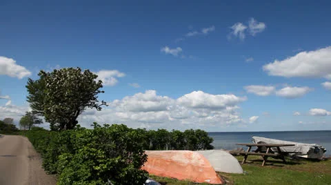 Danish summer landscape Stock Footage 23859291