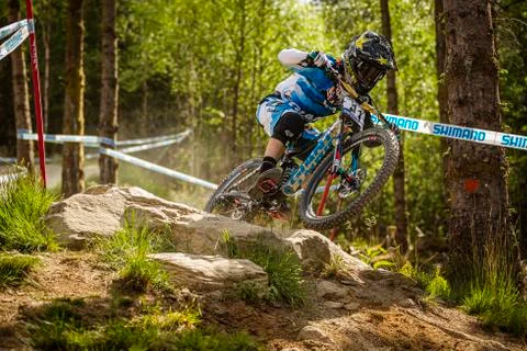 Danny Hart Stock Photos