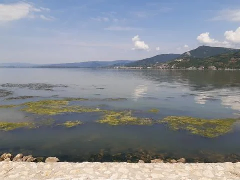 Danube 19 Stock Photos