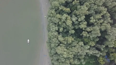 Danube beach Video stock 94366583