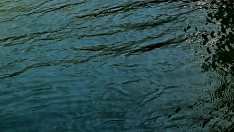 Danube closeup slow Stock Footage 122297615