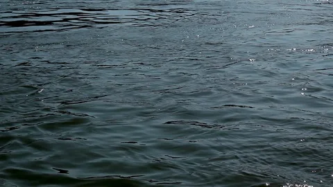 Danube closeup4v HD Stock Footage 122297605