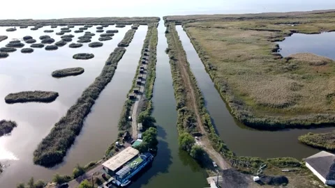 Danube Delta Aerial Stock Footage 147231852
